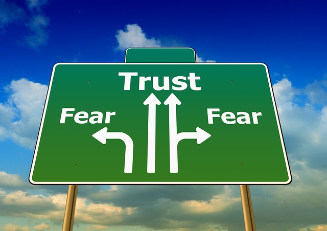 Photo by geralt Trust Your Instinct - Pushing The Edge with Greg Curran