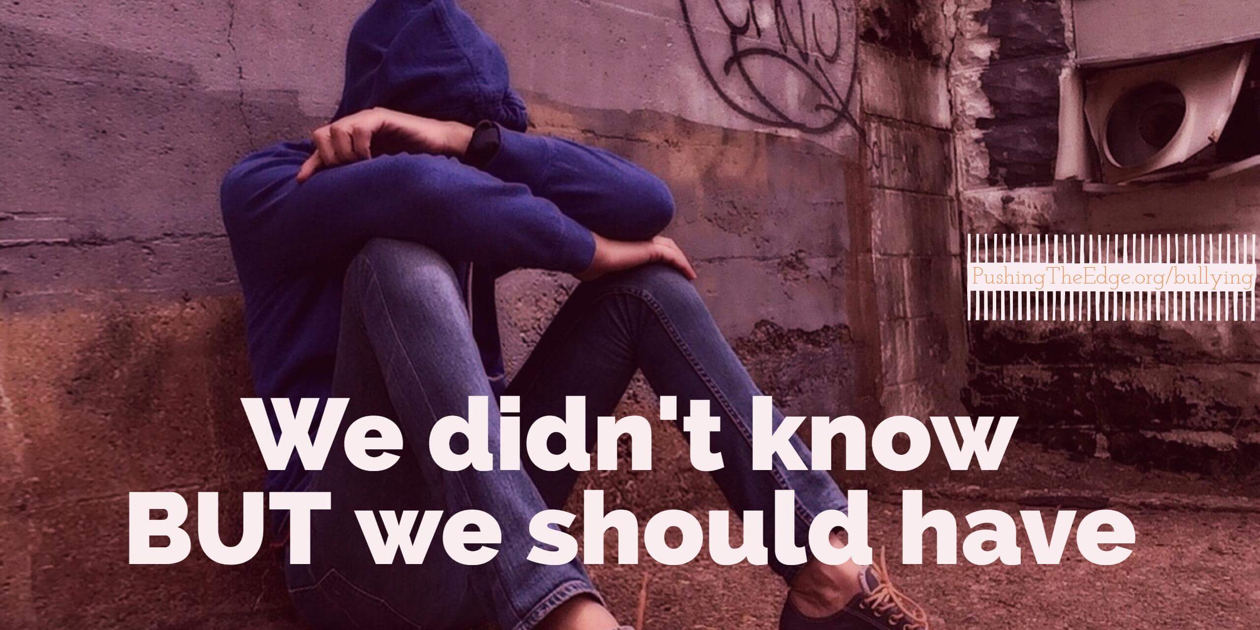 We didn't know but we should have - bullying in school